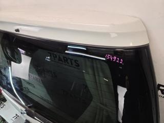 Дверь 5-я NISSAN ELGRAND ALWE50 VG33E 3 ракурс