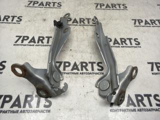 Крепление капота TOYOTA WILL CYPHA NCP70 2NZFE 2 ракурс Крепление капота TOYOTA WILL CYPHA NCP70 2NZFE 2 ракурс