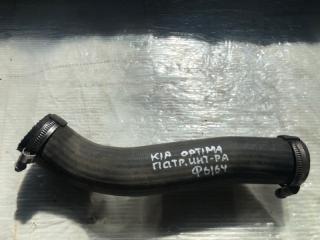 Патрубок интеркулера Kia Optima