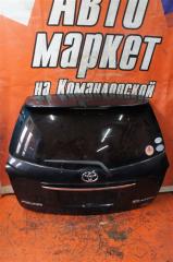 Дверь 5-я задняя TOYOTA COROLLA FIELDER 2007
