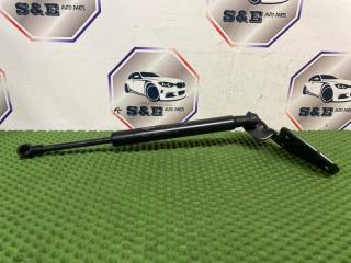 Амортизатор пола багажника BMW X5 2010