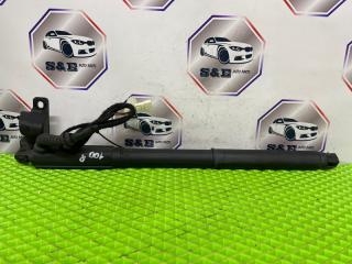 Амортизатор крышки багажника правый BMW X5 2013