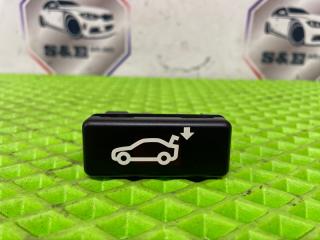 Кнопка открывания багажника BMW X6 2009