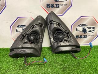 Пищалка BMW X5 2012