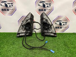 Пищалка BMW X5 2011