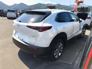 Проводка салона cx-30 2021 DM8P S8
