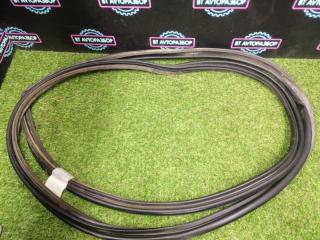 Фото запчасти уплотнительная резинка двери багажника задняя Toyota Ipsum 1999 Б/У запчасть Запчасть уплотнительная резинка двери багажника задняя Toyota Ipsum 1999