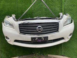 Nose cut NISSAN FUGA