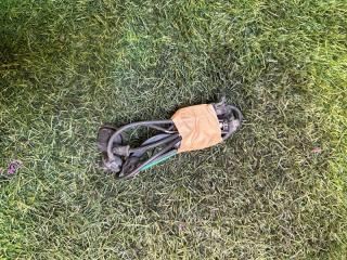 Датчик abs задний правый DAIHATSU MIRA E:S контрактная Датчик abs задний правый DAIHATSU MIRA E:S