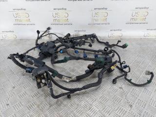 Запчасть проводка двс Honda Civic 2010