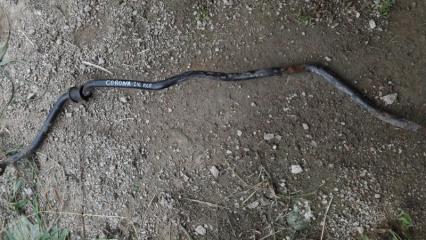 Стабилизатор передний Toyota Corona Premio 2001