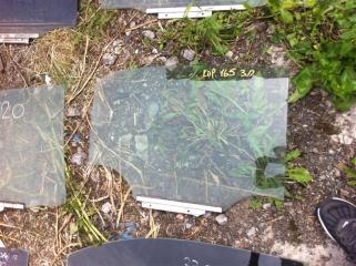 Запчасть стекло двери заднее правое Toyota Corolla