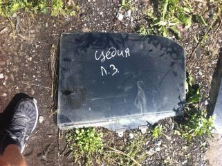 Запчасть стекло двери заднее левое Mitsubishi Lancer Cedia