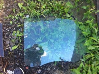 Запчасть стекло двери заднее левое FORD Focus