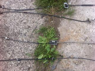 Тросик кпп Infiniti QX56