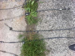 Тросик кпп Nissan Rnessa