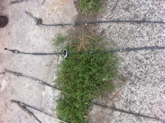 Тросик кпп Toyota