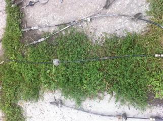 Тросик кпп Nissan Cefiro