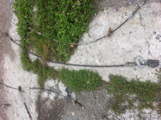 Тросик кпп Mitsubishi Pajero