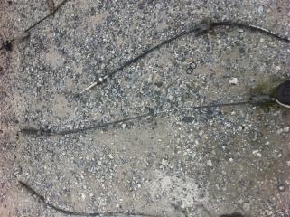 Тросик кпп Mitsubishi Galant