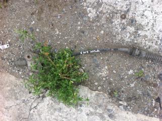 Запчасть тросик кпп Subaru Forester