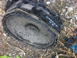 Динамик передний Nissan Navara