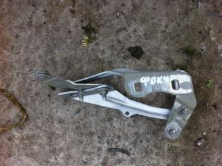 Петли крепление капота FORD Focus