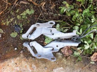 Петли крепление капота Toyota Corolla