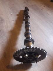 Распредвал BMW 316i 1995 контрактная Распредвал BMW 316i 1995