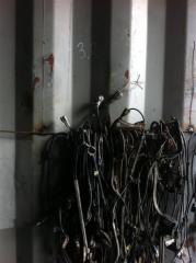 Датчик abs передний правый Toyota Corolla