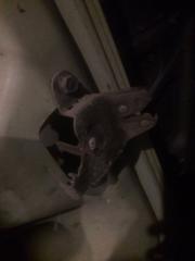 Замок крышки багажника Toyota Tercel 1993