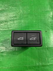 Кнопка открывания багажника VOLKSWAGEN TIGUAN 2019 ПРОБЕГ 9800. КМ !!!!!!