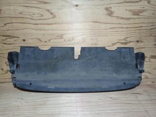 Защита радиатора Lexus GS450h 2012