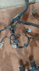 Проводка двигателя Passat B6 BVY