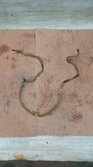 Запчасть проводка Mazda 3