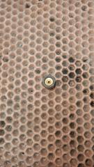 Болты lacetti хэтчбек F16D3