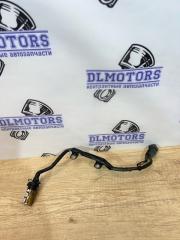 Фото запчасти датчик положения коленвала Toyota Rav 4 контрактная запчасть Запчасть датчик положения коленвала Toyota Rav 4