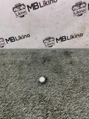 Фото запчасти парктроник Audi a4 Б/У запчасть Запчасть парктроник Audi a4