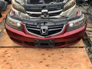 Nose cut Honda Accord