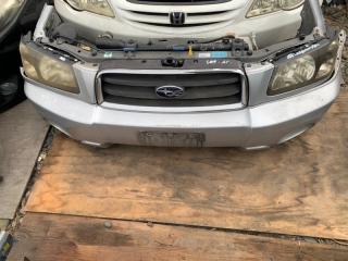 Nose cut Subaru Forester