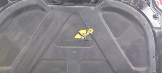 Капот Opirus 2010