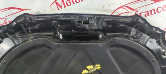 Капот Opirus 2010