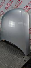 Капот Passat 2009 2.0 GXV Капот Passat 2009 2.0 GXV