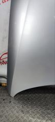 Капот Passat 2009 2.0 GXV Капот Passat 2009 2.0 GXV