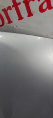 Капот Passat 2009 2.0 GXV Капот Passat 2009 2.0 GXV