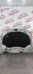 Капот Passat 2009 2.0 GXV Капот Passat 2009 2.0 GXV