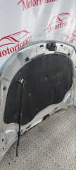Капот Passat 2009 2.0 GXV Капот Passat 2009 2.0 GXV