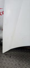 Капот Kangoo 2006 1 1.5 DCI K9k Капот Kangoo 2006 1 1.5 DCI K9k