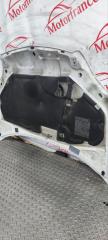 Капот Kangoo 2006 1 1.5 DCI K9k Капот Kangoo 2006 1 1.5 DCI K9k