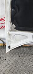 Капот Kangoo 2006 1 1.5 DCI K9k Капот Kangoo 2006 1 1.5 DCI K9k